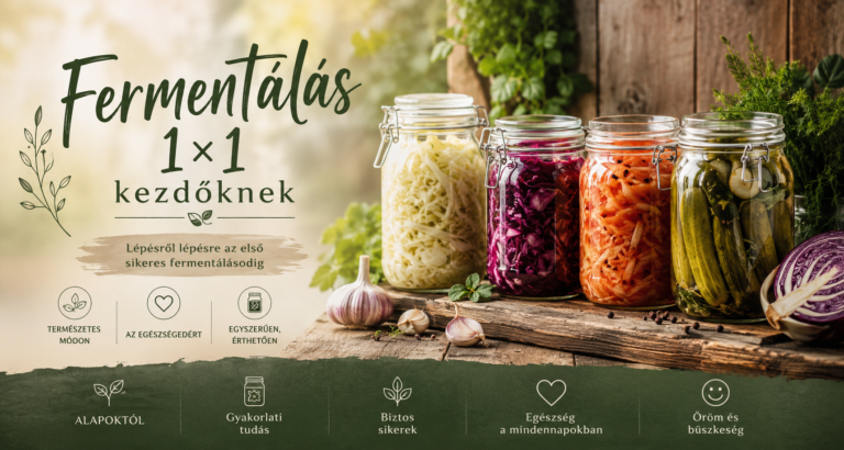 fermentálás 1x1 kezdőknek