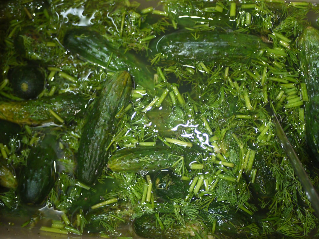 Kovászos uborka üvegben, erjedési folyamat közben