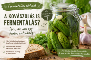 Kovászolás vagy fermentálás. Kovászos uborka titka.