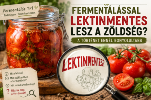 Csökkenti a fermentálás a lektineket, vagy valóban lektinmentessé teszi a zöldségeket? Megnéztük, mit mondanak erről a tudományos források.